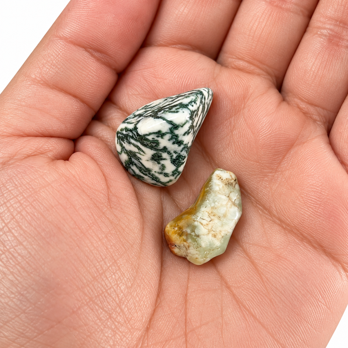 Tree Agate and Chrysoprase crystals shown close up in an open palm