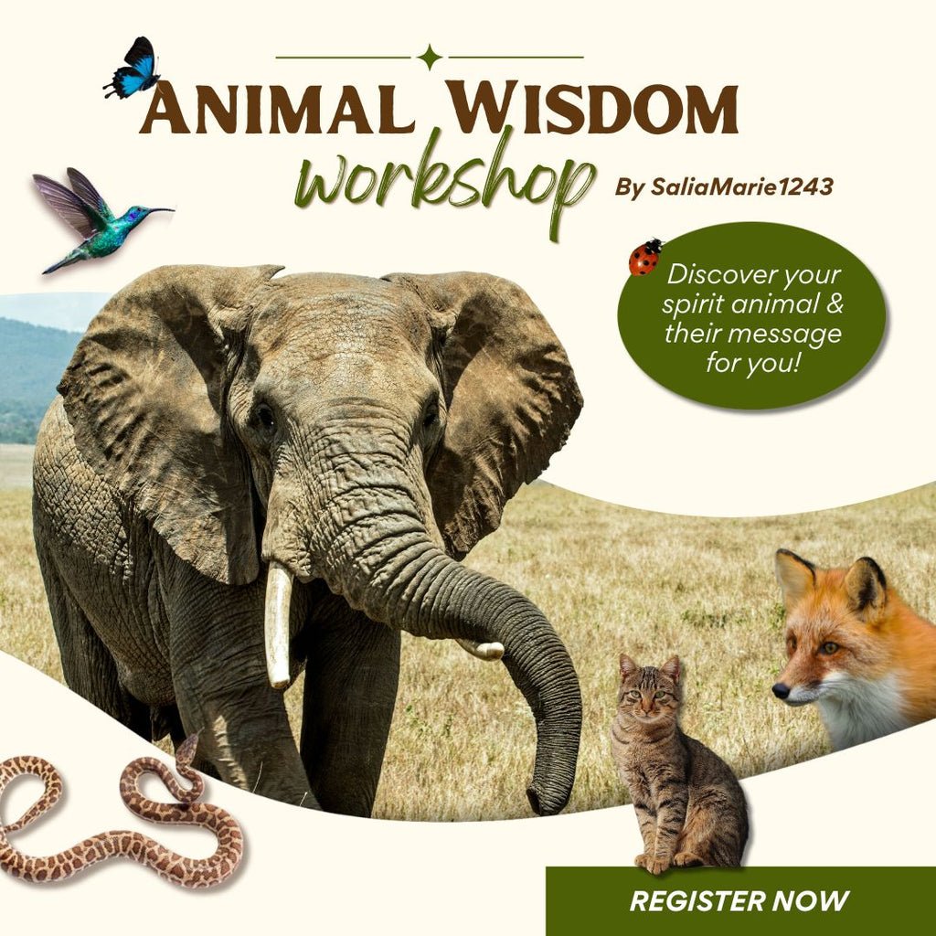 Animal Wisdom Workshop 7/11/26