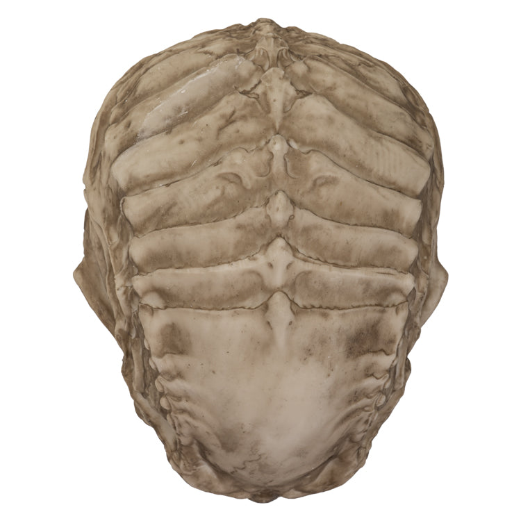 Cthulhu Skull Figurine — Call of Cthulhu